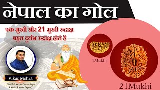 नेपाल का गोल एक मुखी और 21 मुखी रुद्राक्ष बहुत दुर्लभ रुद्राक्ष होते है