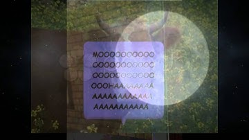 Wizard101 Random Collab 1