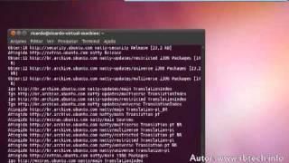 Como instalar o Unity 2D no Ubuntu 11.04