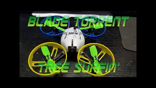 Blade Torrent Tree Surfin