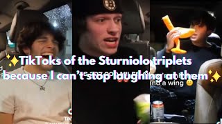 TikToks of the Sturniolo triplets because I can’t stop laughing at them