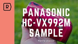 Panasonicデジタルビデオカメラ HC-VX992Mで動物園を撮影！手振れ補正やズーム機能をチェック。作例
