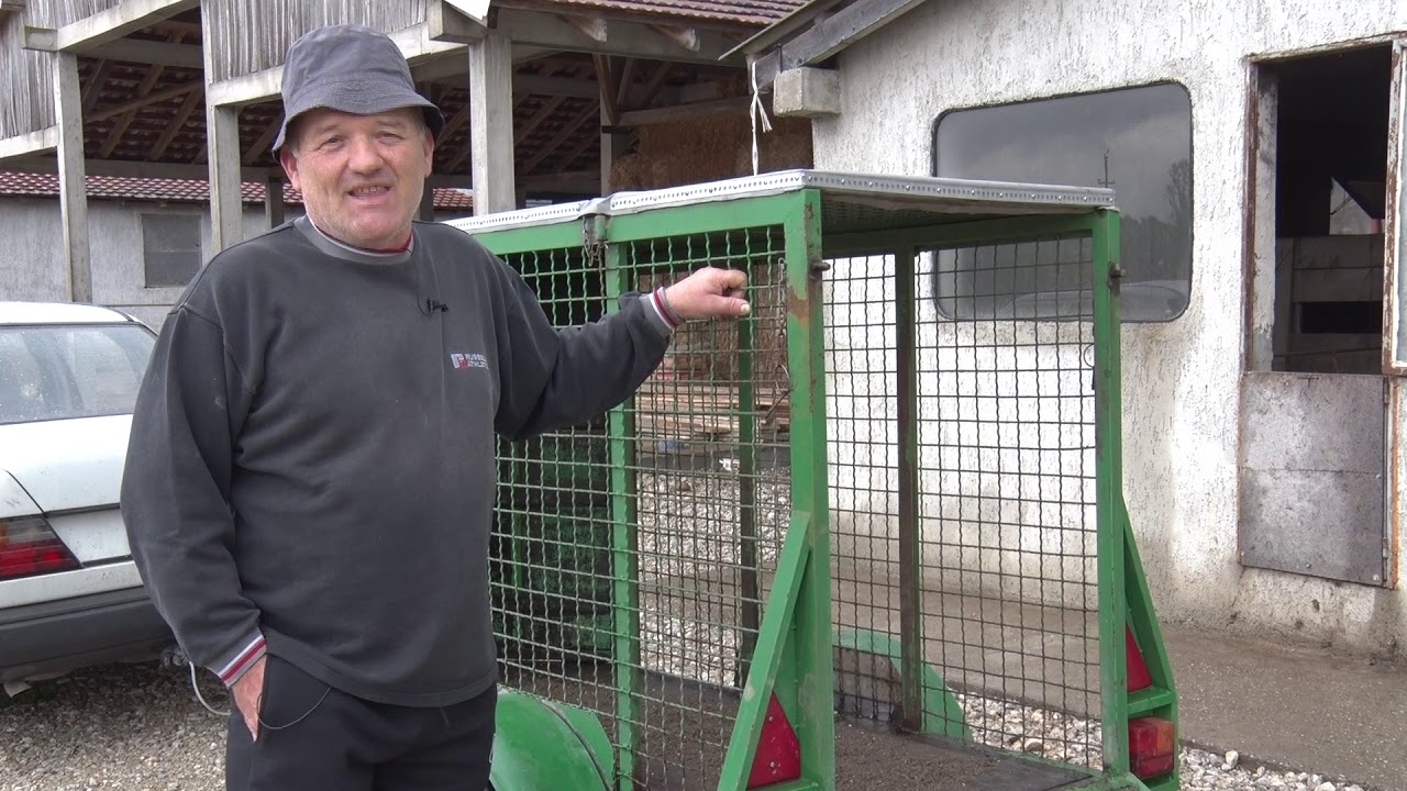 Svinjac pod konac - Loznica