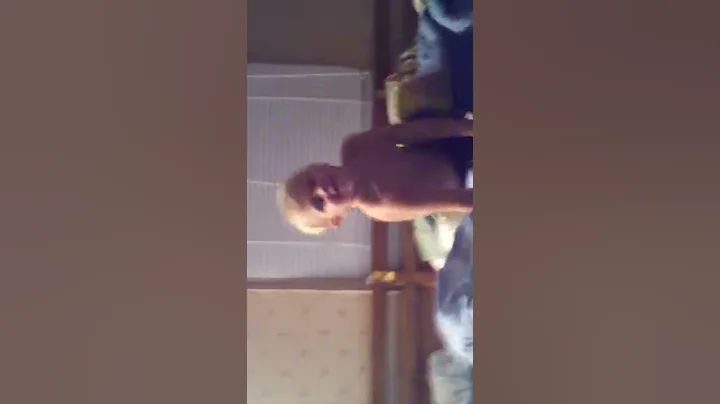 flipping jesse kenney