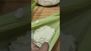 Tamales de ELOTE #foryou #viral #comida #elmistercocina