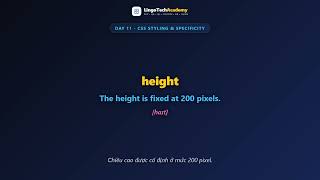 🚀 Day 11 - CSS Styling & Specificity | English for Frontend Developers