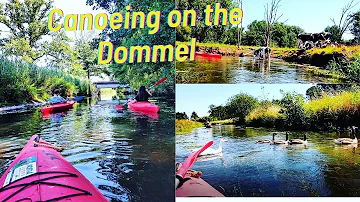Canoeing on the Dommel