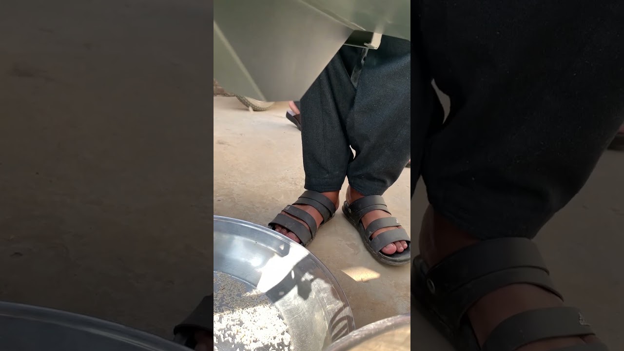 Mini Rice Mill | Rice Mill Business | Rice Polisher | Rice Processing | 