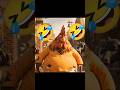 पूरे विश्व में भारत ही एक ऐसा देश है! AI Comedy Video | #funny #comedy #murgacomedy #aicomedy #aifun