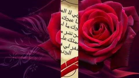 الشيخ امين يقرأ آخر سورة الحشر بمقام الصبا