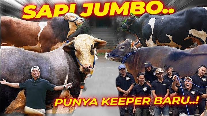 PENENTUAN KEEPER SAPI-SAPI DEHAKIMS ❗❗ JANOKO ~ NICKI ~ BOMBER ~ CONDROSIMO
