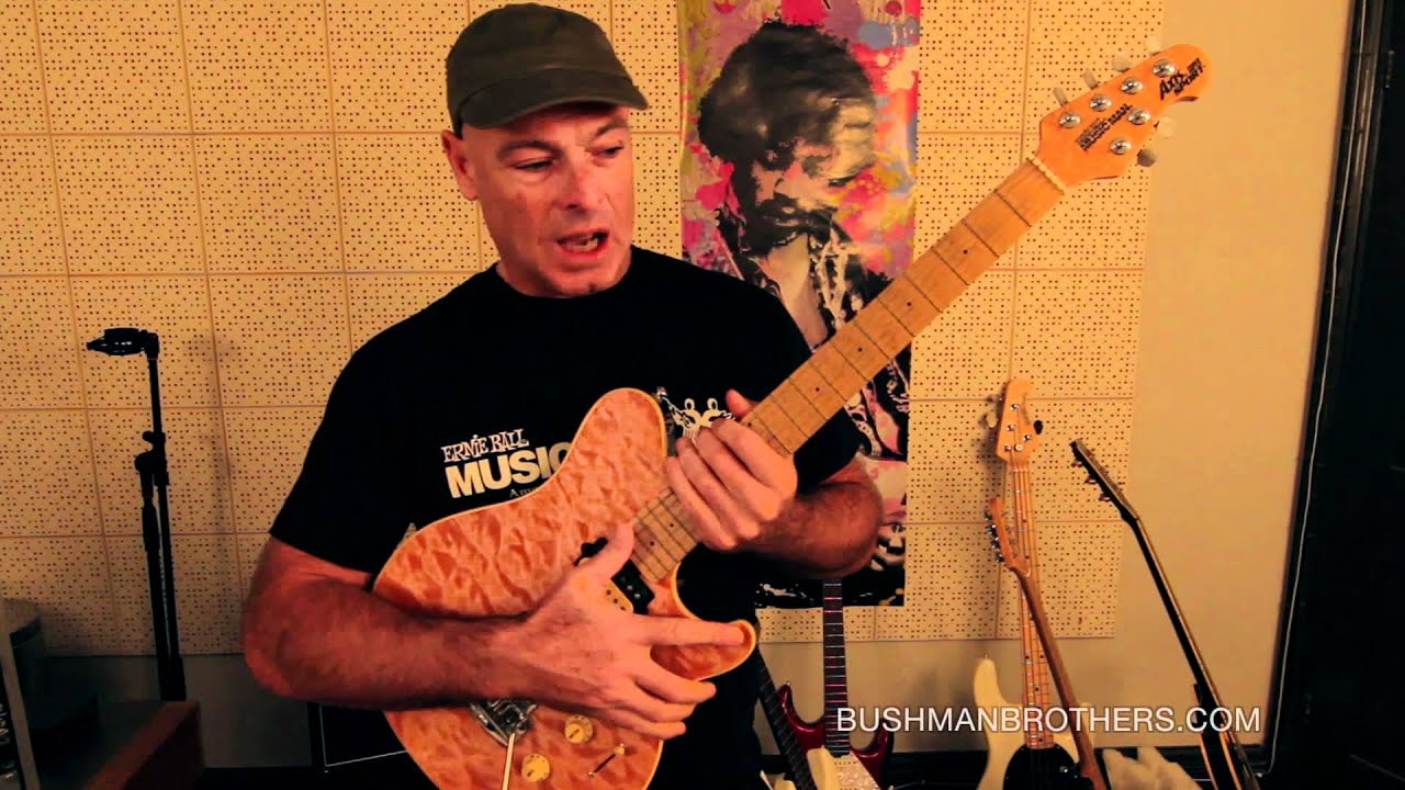 Bushman Brothers guitar gear 2 of 5