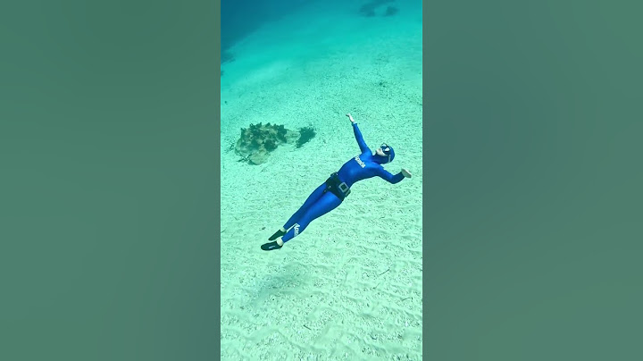 Subscribe please_Nadando no fundo do mar #nadar #aguascalientes aguas-