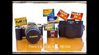 Project 366 | February - A photographic experience through 2012