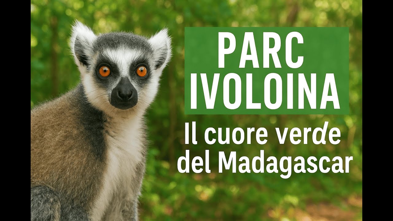 🐒 Parc Ivoloina: i lemuri del Madagascar nel cuore verde di Toamasina