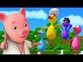 Cinque grandi anatre | anatra rima per bambin | Five Big Ducks | New Rhymes And Songs