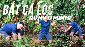 Bắt cá lóc và làm món cá lóc nướng trui ngay tại rừng U Minh