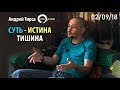 Истина, суть, тишина (фрагмент Сатсанга 02/09/18) Андрей Тирса -Пробуждение/Просветление