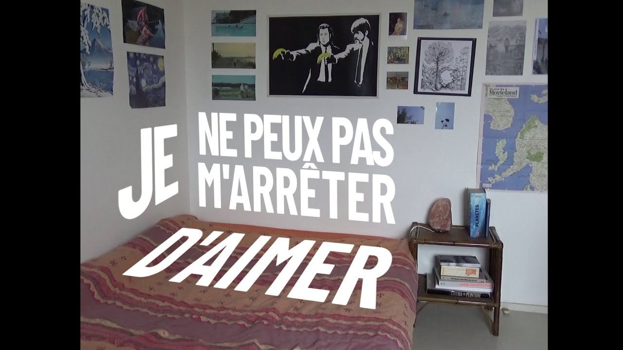 Je ne peux pas m'arrêter d'aimer (essai)