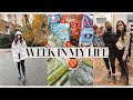 Week In My Life: Grocery Haul, Media Events &amp; Lash Lift!