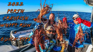 Perth Crayfish White Run 2022 and our best moments | Western Rock Lobster screenshot 3