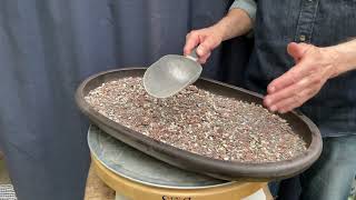 Repotting an Eastern White Cedar Forest. Part 1. 7-May-2026