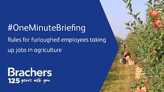 #OneMinuteBriefing Can furloughed workers take on seasonal agriculture jobs? (5 May)