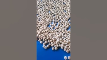 WENVA Sweet Steamed Bun Biscuits