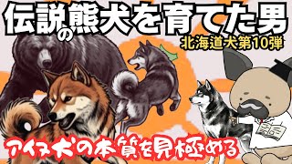 伝説の熊犬を育てた男〜真のアイヌ犬の気質〜北海道犬10