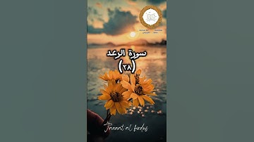 سورة الرعد #قران_كريم #تلاوة_خاشعة #راحة_نفسية