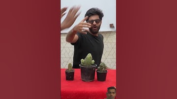#experiment #cactus #plants #science #scienceexperiment #bluebox