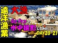 大漁したので網の中に飛び込んでGoProで魚群を水中撮影してみた
