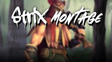 Flank Strix Montage -Paladins Strix level 60+