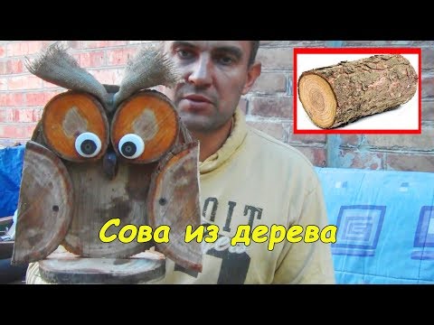 Бейне: Бактериялардың көбеюін өлшеудің 3 әдісі