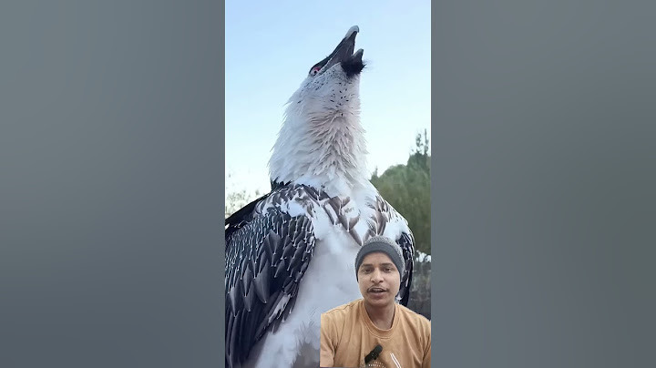Vulture swallows big bone whole! 😳🤯 - 🎥 Viralhog