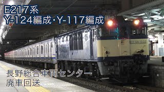 E217系Y-124編成＋Y-117編成廃車回送　松本駅にて。