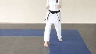 Chudan Soto Uke-Gyakuzuki and Chudan Uchi Uke-Gyakuzuki