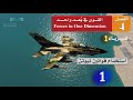 استخدام قوانين نيوتن 1