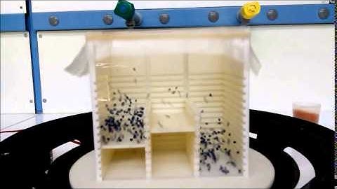 Poincaré-Zermelo paradox made true