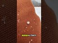 最も希少なスノーフレーク 😱❄️