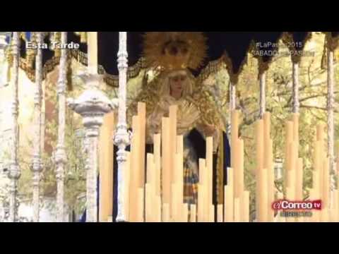 Humilde y Fervorosa Hermandad Sacramental y de Gloria de San José Obrero, San Francisco de Paula e Inmaculada Concepción y Cofradía de Nazarenos de Nuestro Padre Jesús de la Caridad y Nuestra Señora de los Dolores