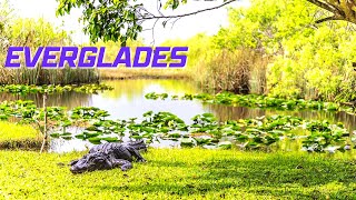 Everglades National Park | Florida TRAVEL GUIDE