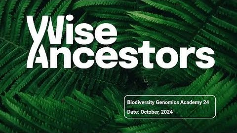 Wise Ancestors (BGA24)