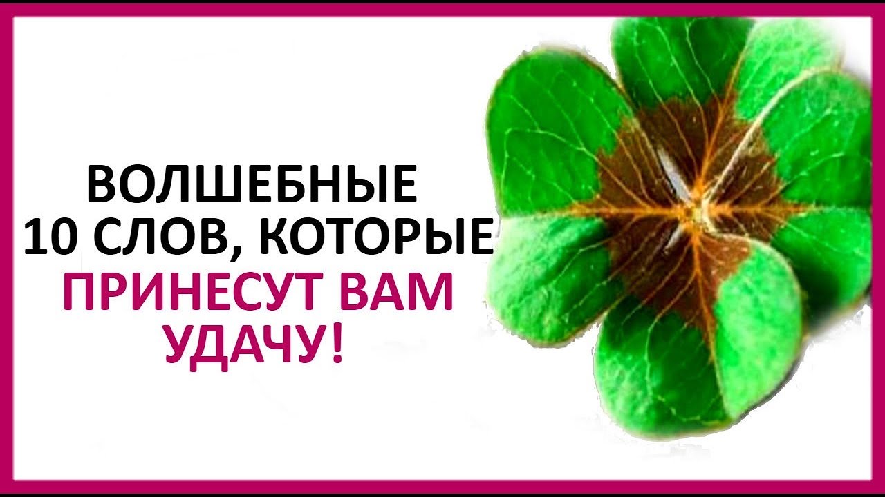 Смотреть Десять слов, которые притягивают удачу видео Смотреть Десять слов, которые притягивают удачу видео