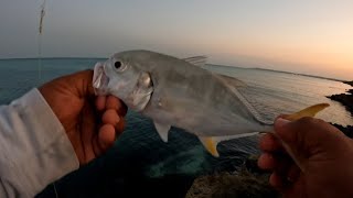 PESCANDO CON SEÑUELO DE MADERA |pesca de orilla.