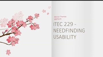 HCI Assignment 1 - Needfinding/Usability
