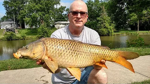 My Carp Fishing Movie 1080 HD