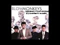 Blow monkeys digging your scene dj andrs h reedit not too extended