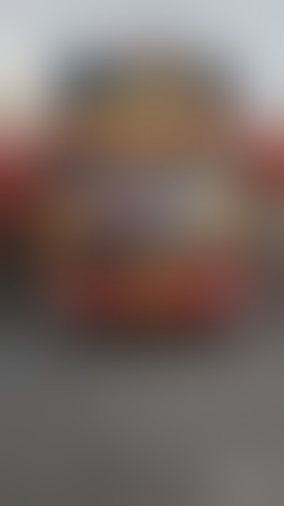 story' WhatsApp ll bus Sugeng Rahayu ll 17 detik part2