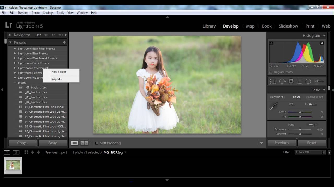 Hướng dẫn import preset vào lightroom | Aphoto